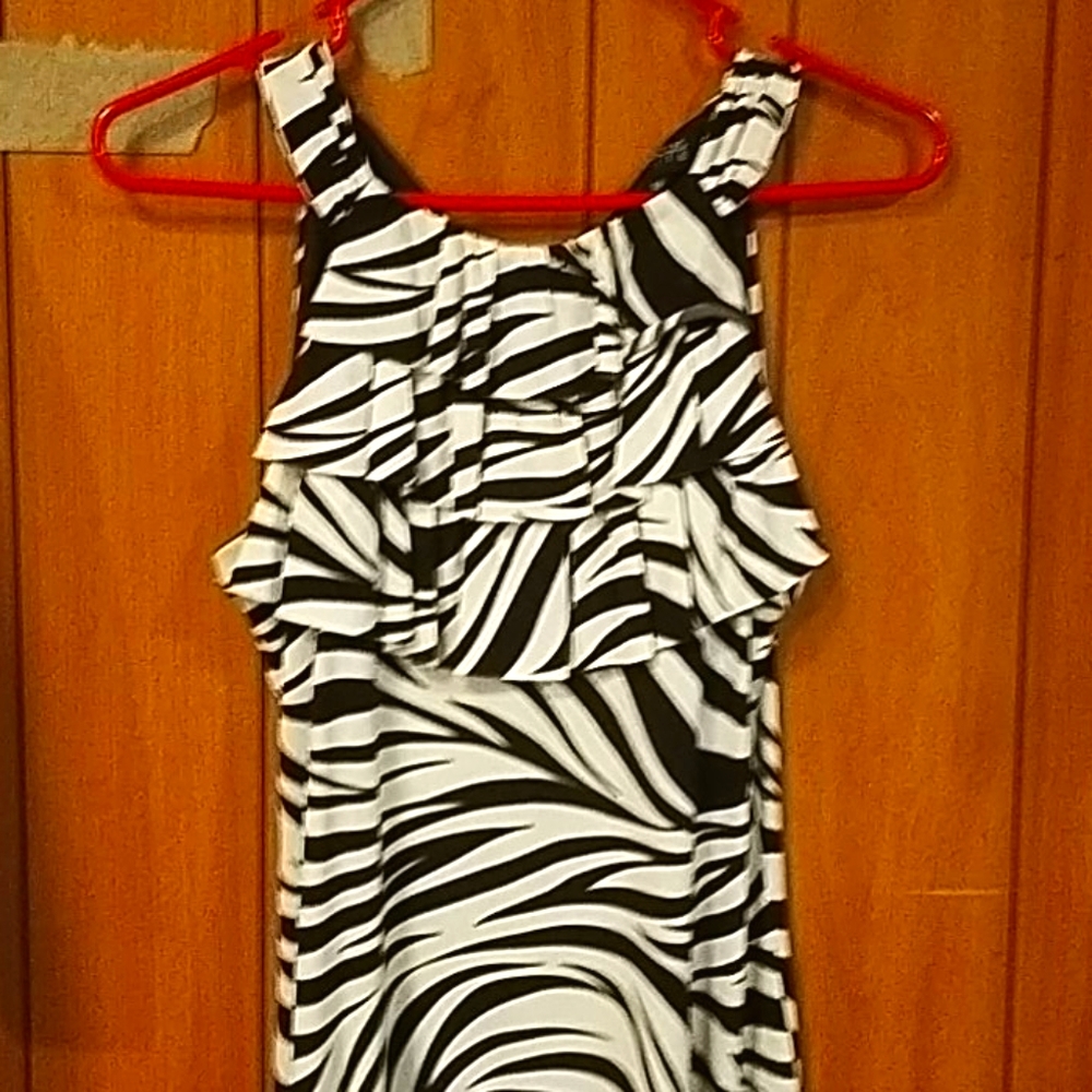 Zebra print enfocus dress